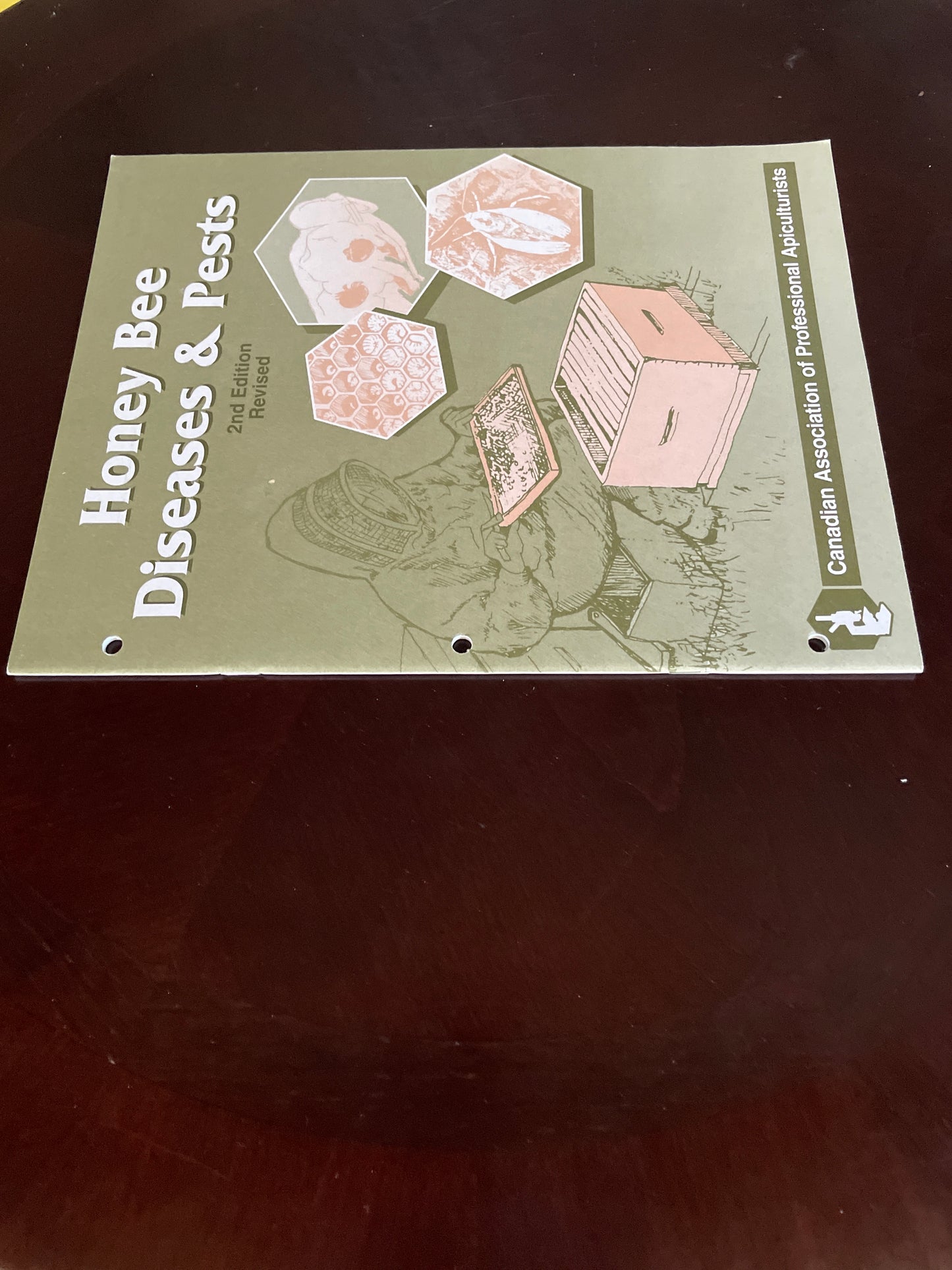 Honey Bee Diseases and Pests - Scott-Dupree, C