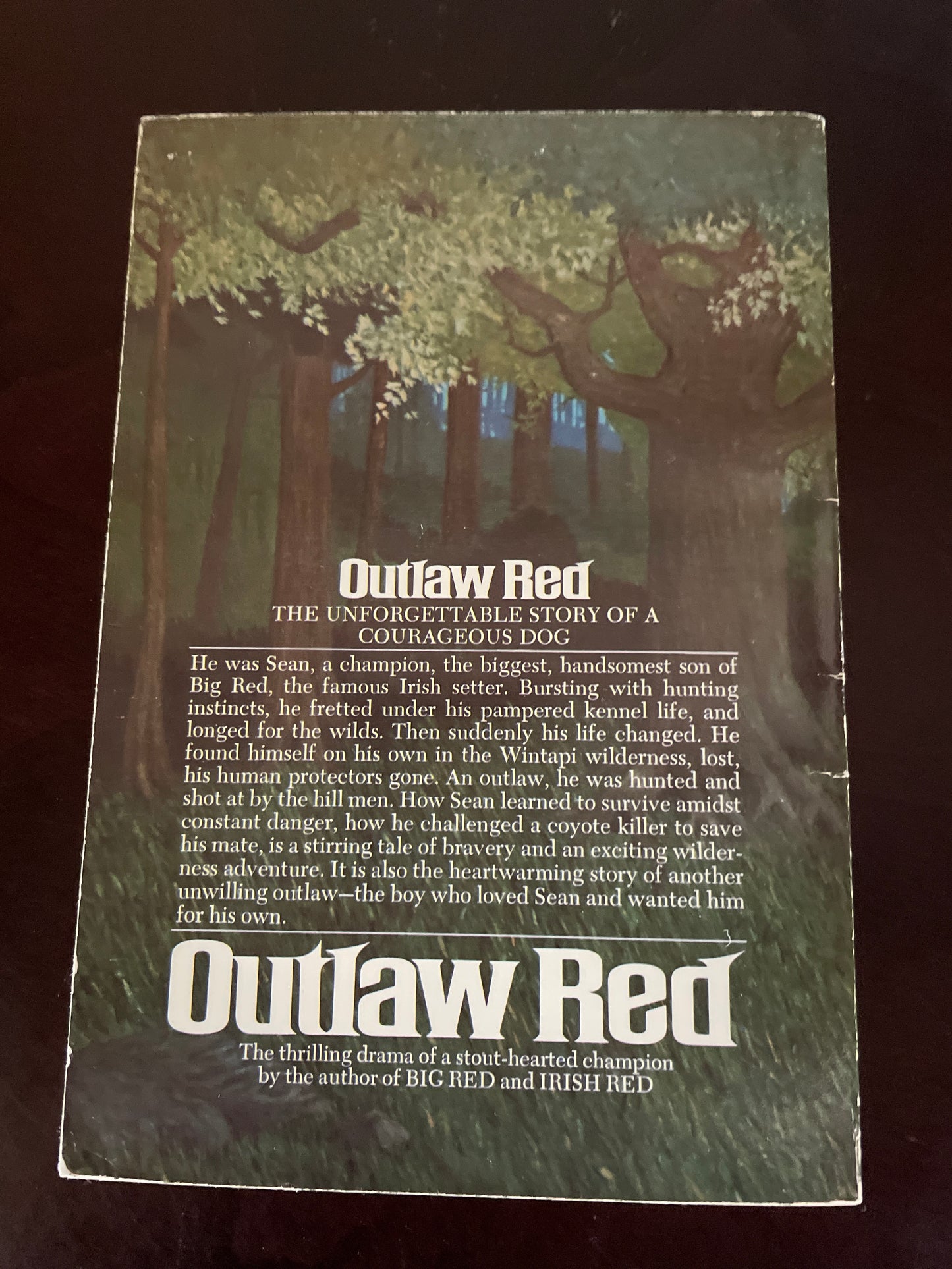 Outlaw Red - Kjelgaard, Jim