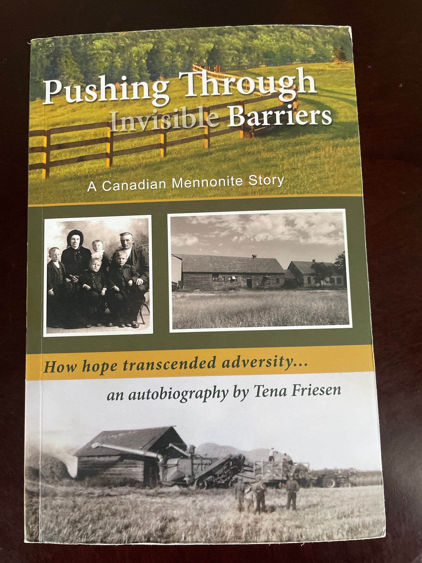 Pushing Through Invisible Barriers: A Canadian Mennonite Story. How Hope Transcended Adversity - Friesen, Tena