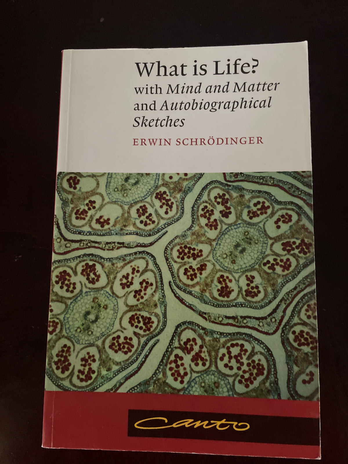 What Is Life?: with "Mind and Matter" and "Autobiographical Sketches" - Schrödinger, Erwin; Schrodinger