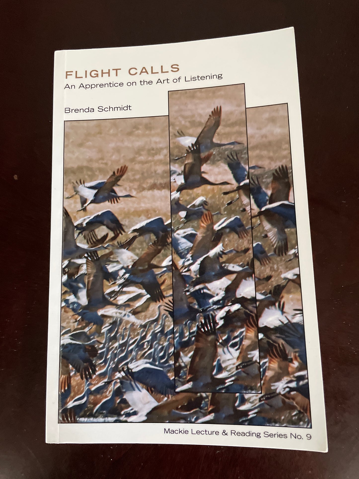 Flight Calls: An Apprentice on the Art of Listening - Schmidt, Brenda