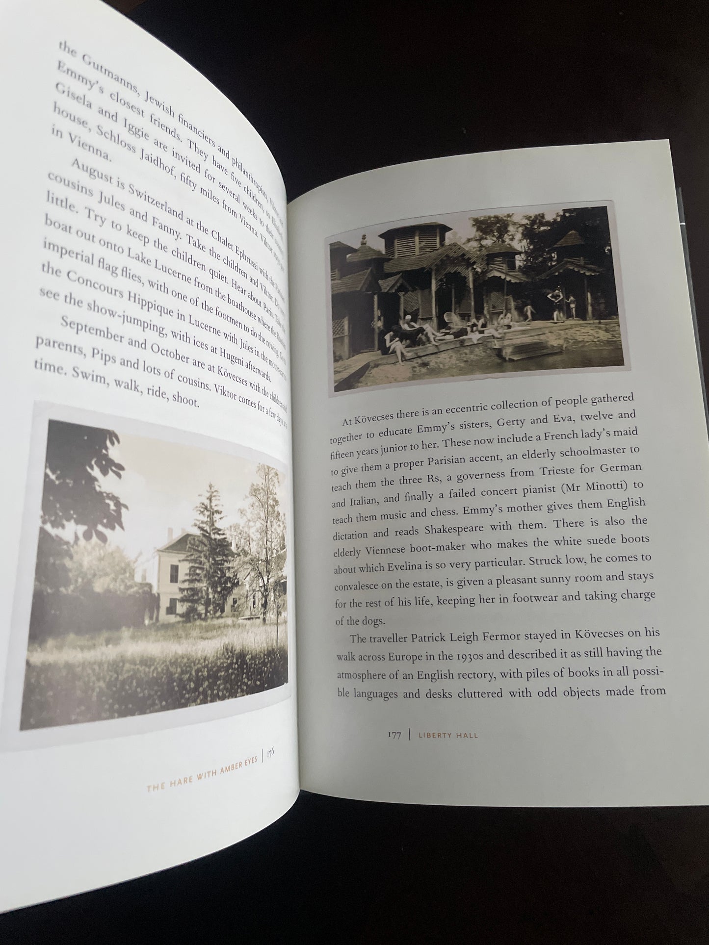 The Hare with Amber Eyes: A Family's Century of Art and Loss - De Waal, Edmund