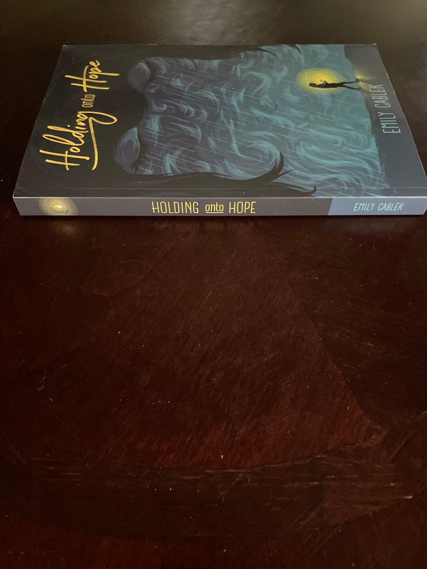 Holding onto Hope: My Journey through Hell and Back (Signed) Cablek, Emily