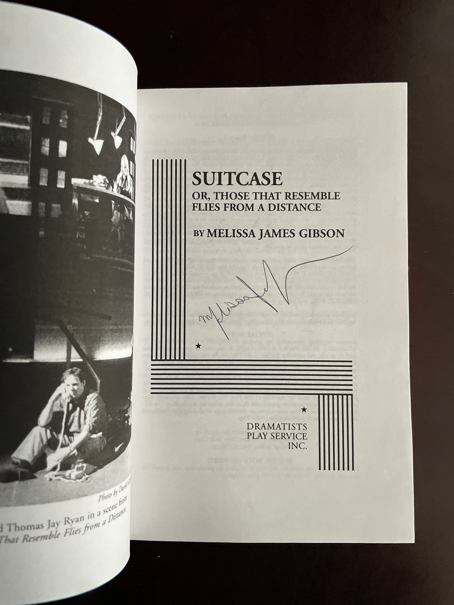 Suitcase, Or Those That Resemble Flies From A Distance (Signed) - Gibson, Melissa James