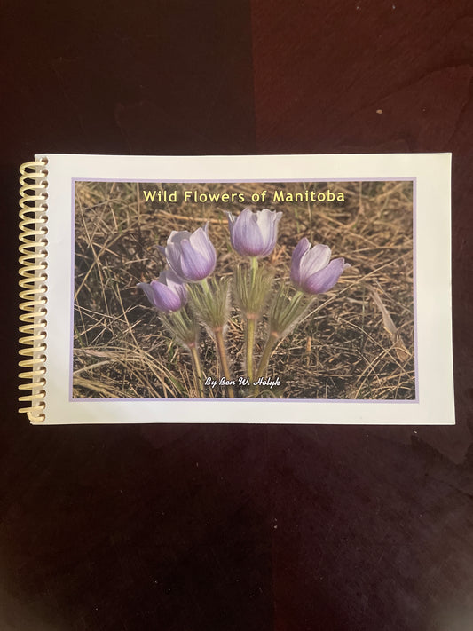 Wild Flowers of Manitoba - Ben W. Holyk