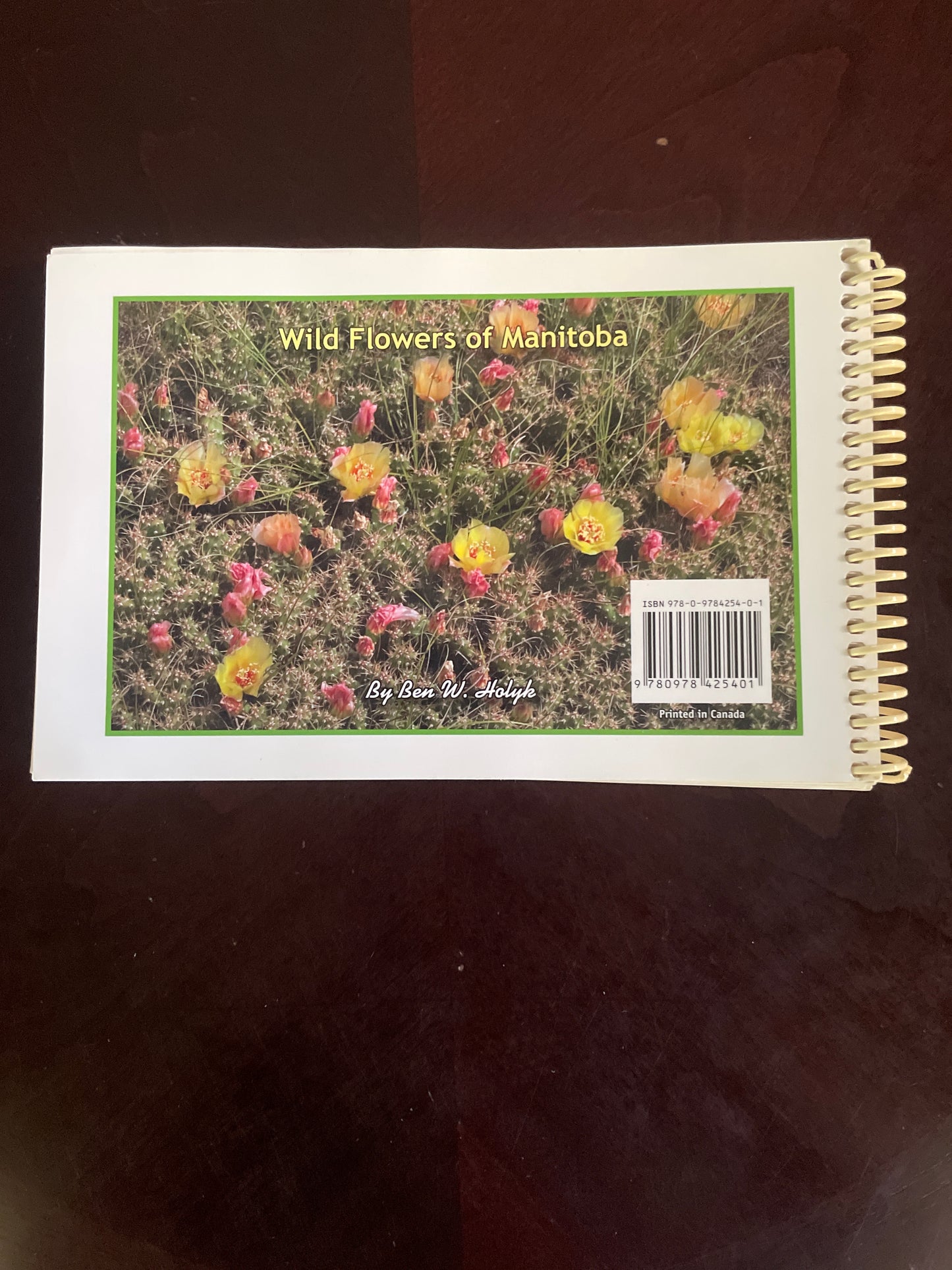 Wild Flowers of Manitoba - Ben W. Holyk