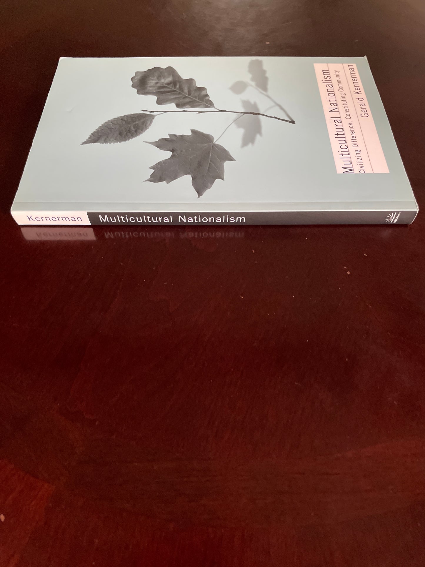 Multicultural Nationalism: Civilizing Difference, Constituting Community - Kernerman, Gerald