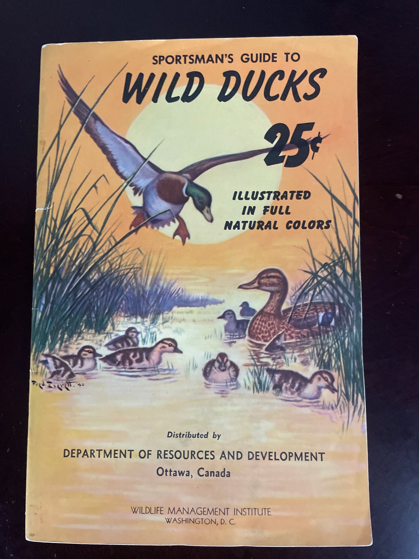 Sportsman's Guide to Wild Ducks (Illustrated in Full Natural Colors) - Sheldon, Colonel H.P.; Lincoln, Frederick C.