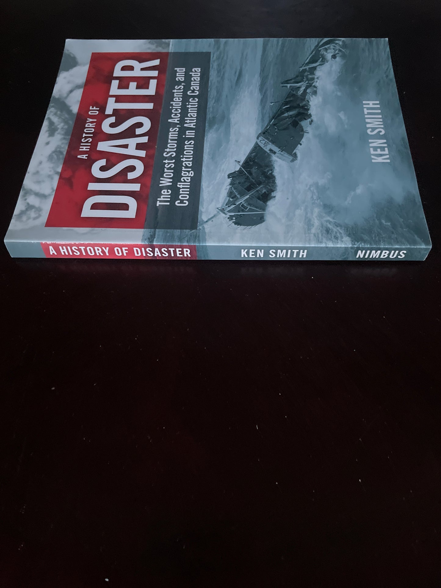 A History of Disaster: The Worst Storms, Accidents, and Conflagrations in Atlantic Canada - Smith, Ken