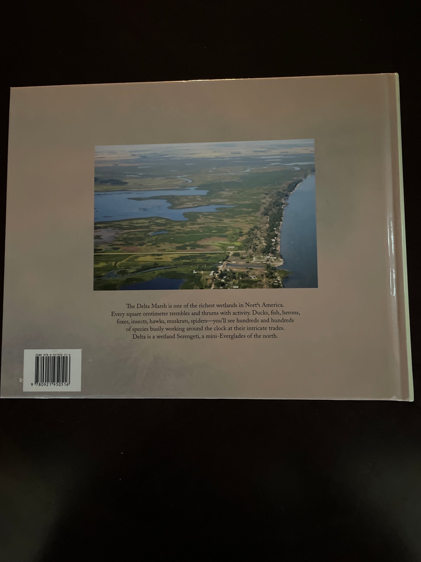 Delta: A Prairie Marsh and its People (Signed) - Suggett, Glen; Goldsborough, Gordon