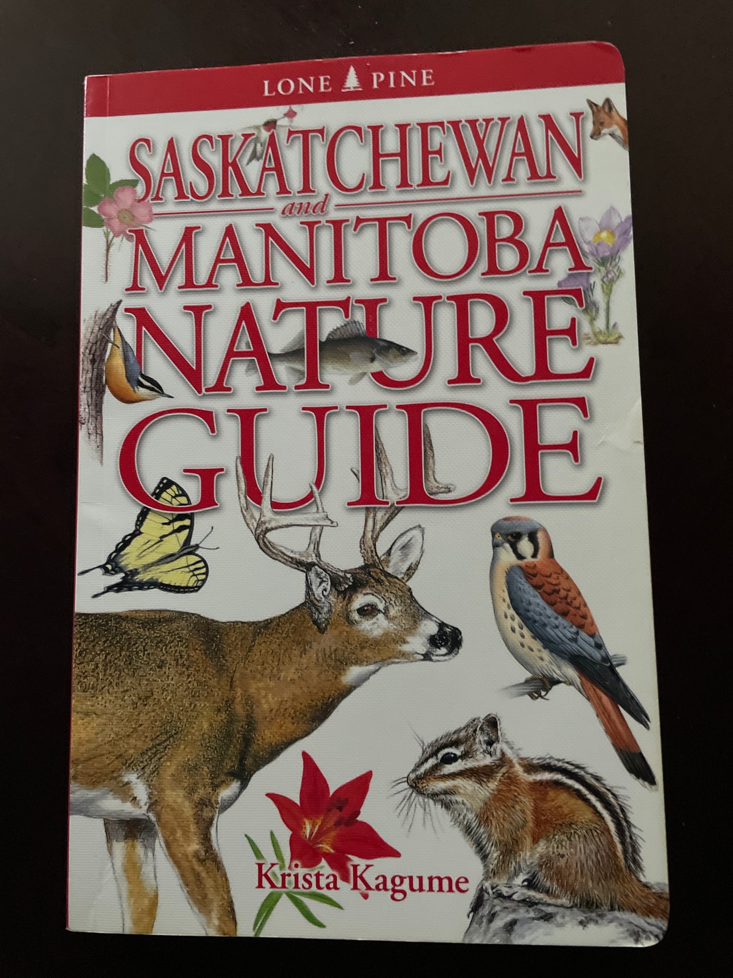 Saskatchewan and Manitoba Nature Guide - Kagume, Krista