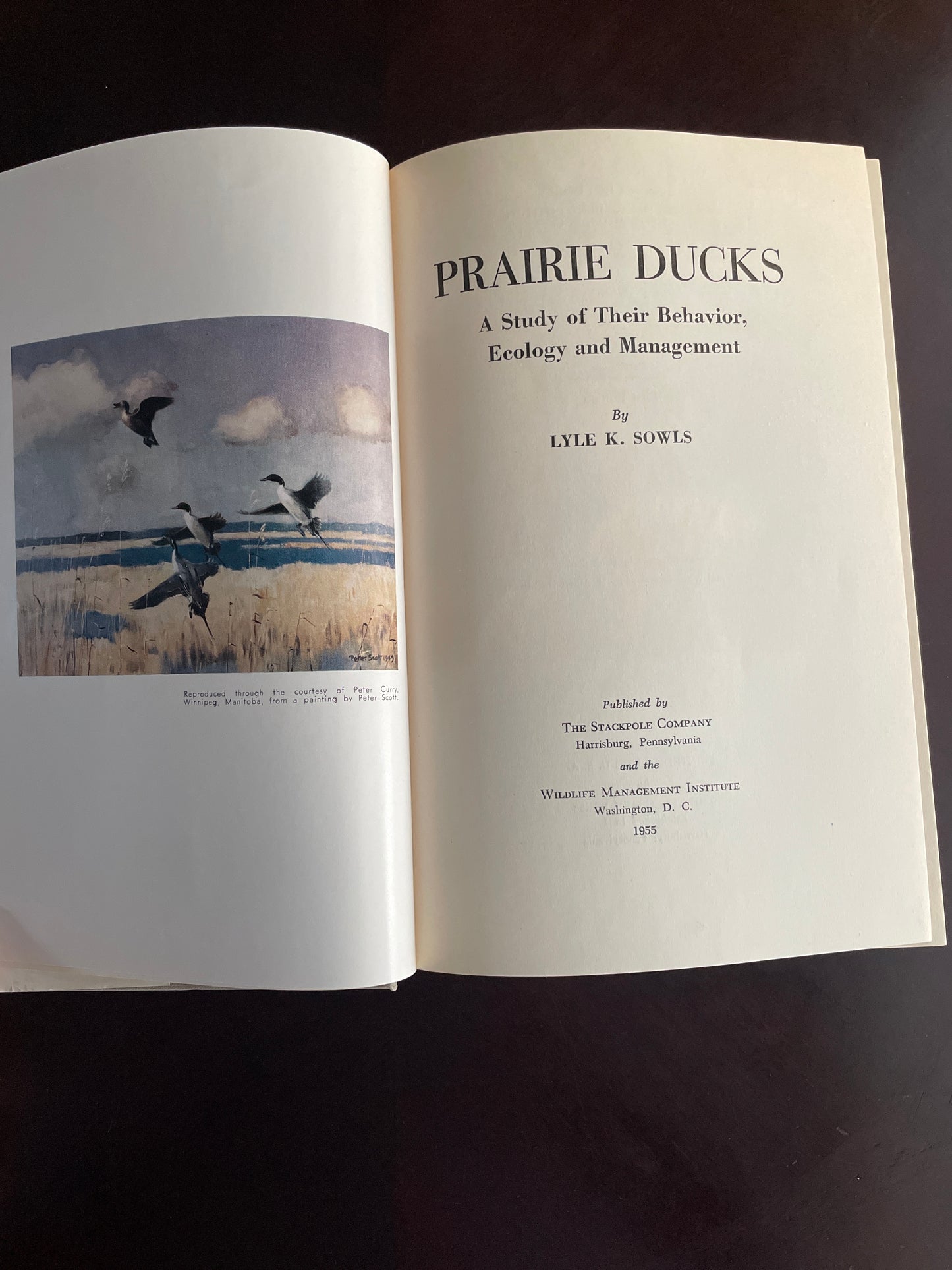 Prairie Ducks: A Study of Their Behavior, Ecology and Management - Sowls, Lyle K.