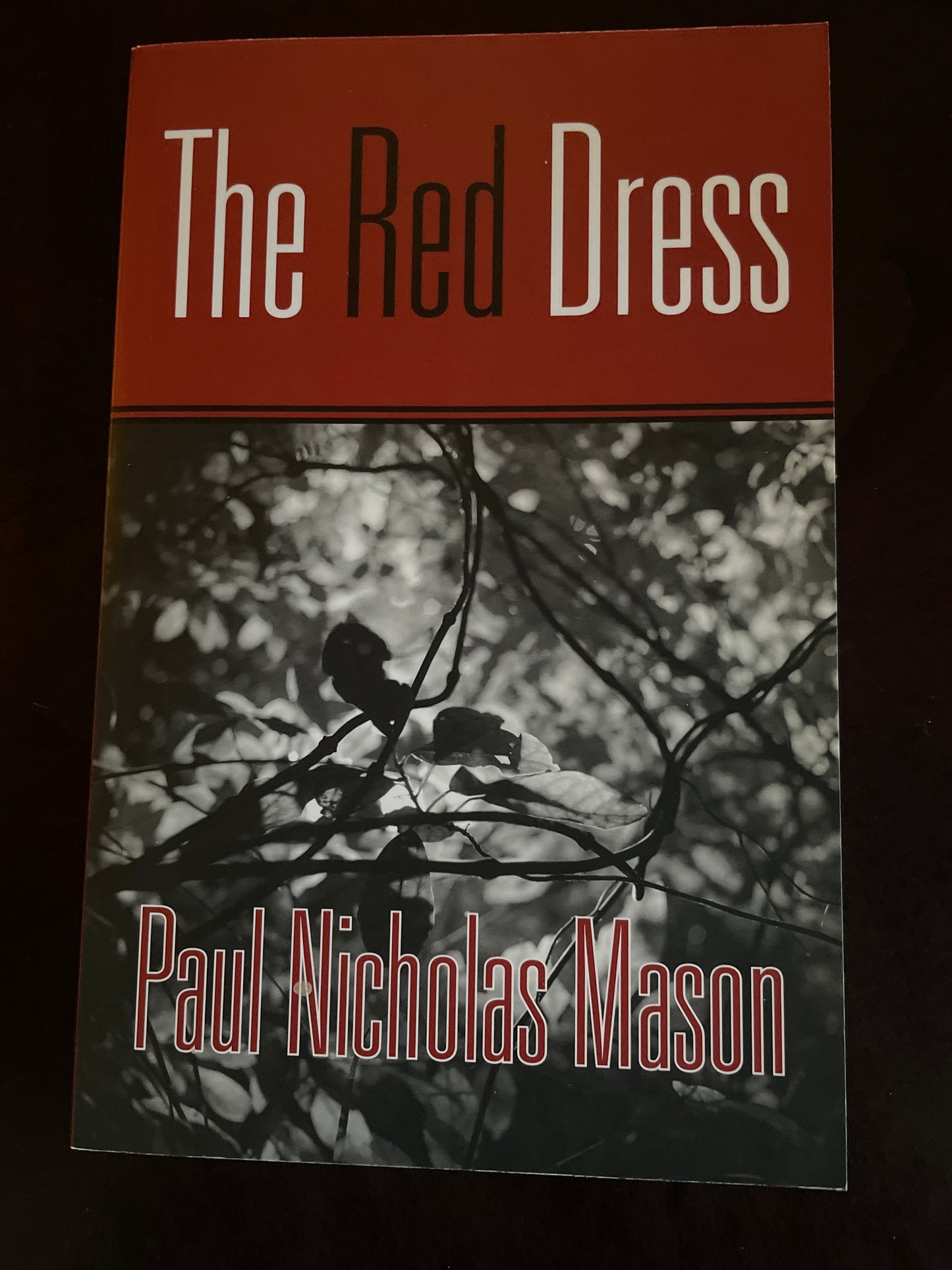 The Red Dress - Mason, Paul Nicholas