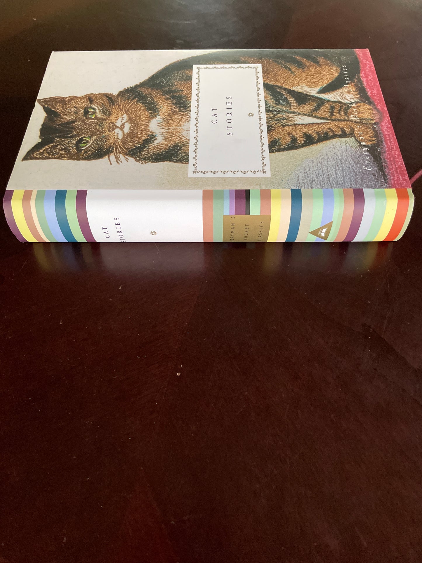 Cat Stories (Everyman's Library Pocket Classics Series) - Tesdell, Diana Secker