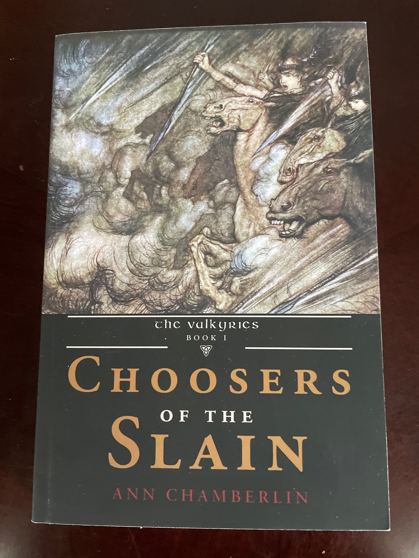 Choosers of the Slain (The Valkyries) Book 1 (Signed) - Chamberlin, Ann