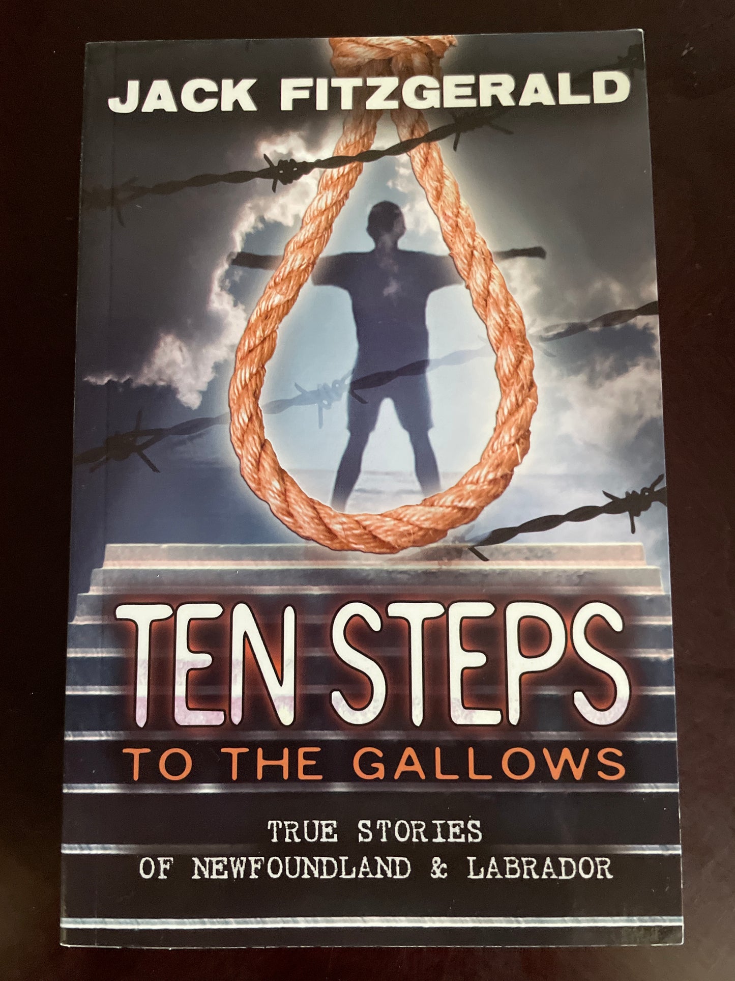 Ten Steps to the Gallows: True Stories of Newfoundland and Labrador - Fitzgerald, Jack