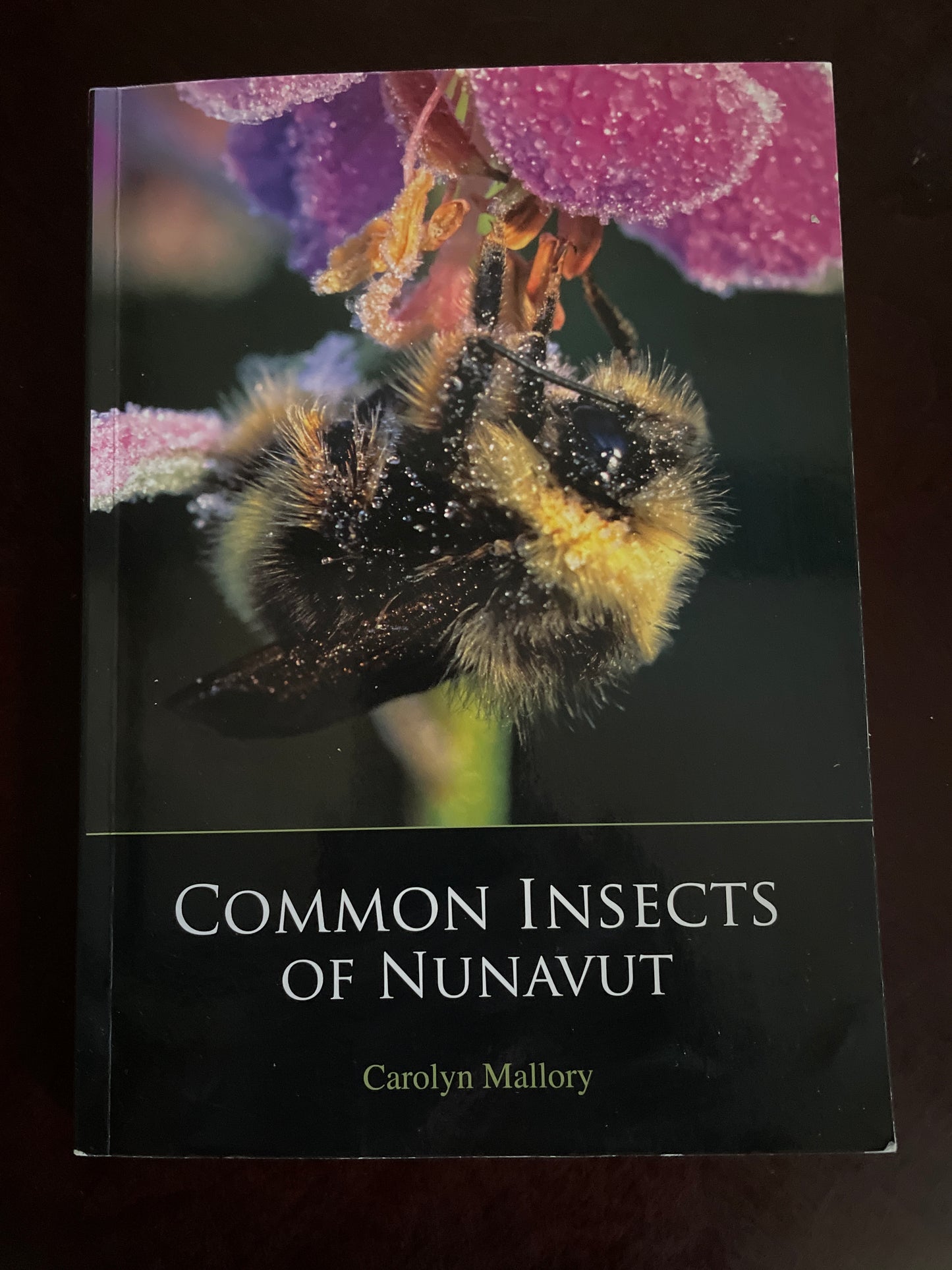 Common Insects of Nunavut - Mallory, Carolyn