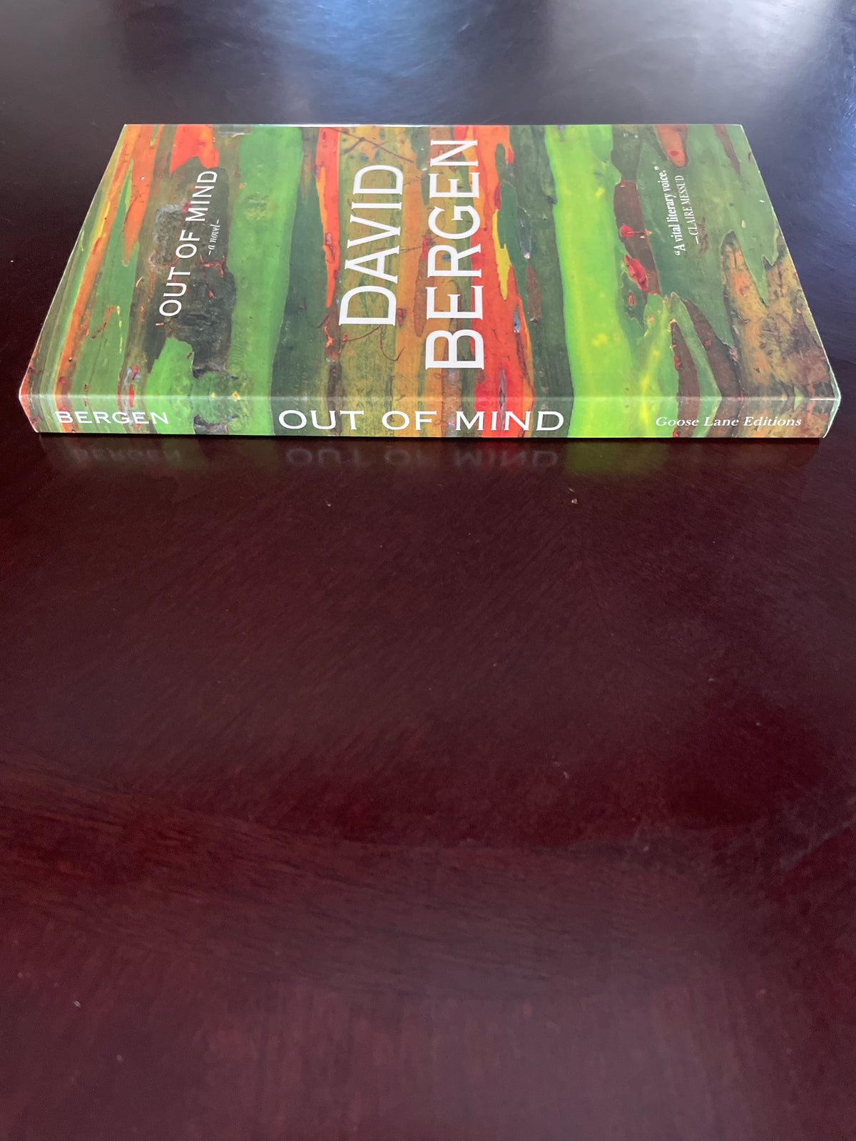 Out of Mind - Bergen, David