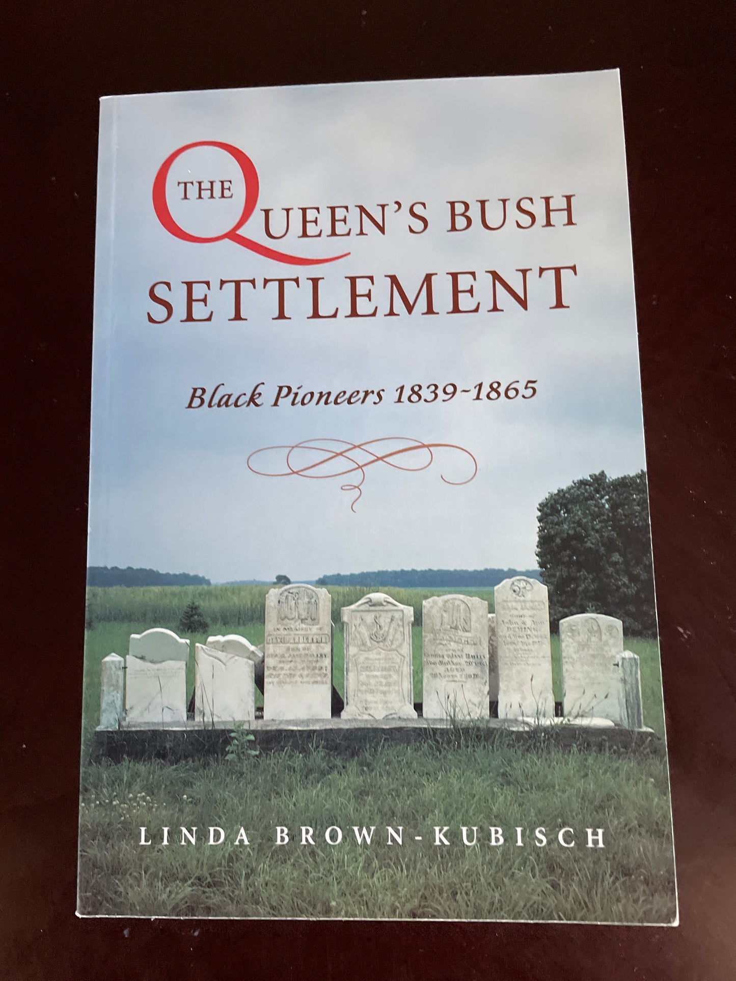 The Queen's Bush Settlement : Black Pioneers, 1839-1865 - Brown-Kubisch, Linda
