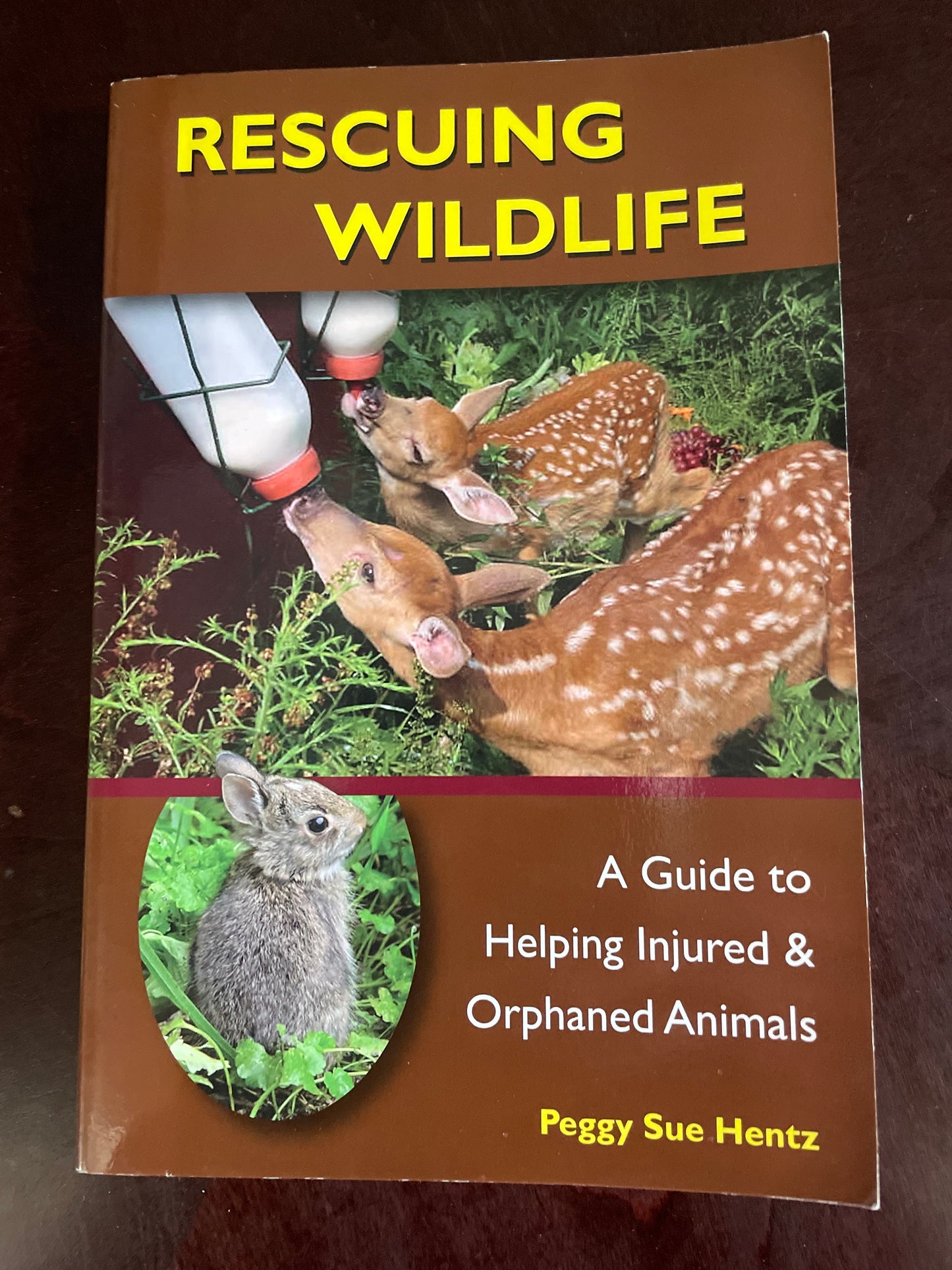 Rescuing Wildlife: A Guide to Helping Injured and Orphaned Animals - Hentz, Peggy Sue