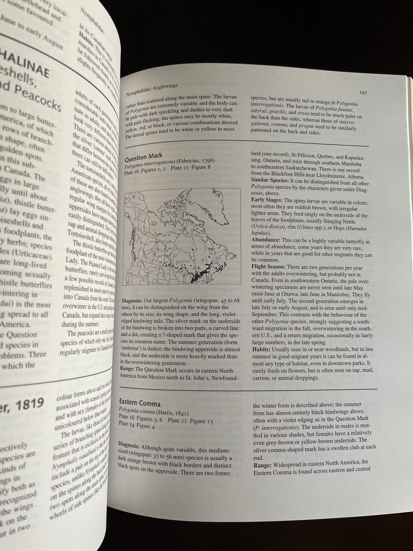The Butterflies of Canada - Layberry, Ross; Hall, Peter; Lafontaine, Don