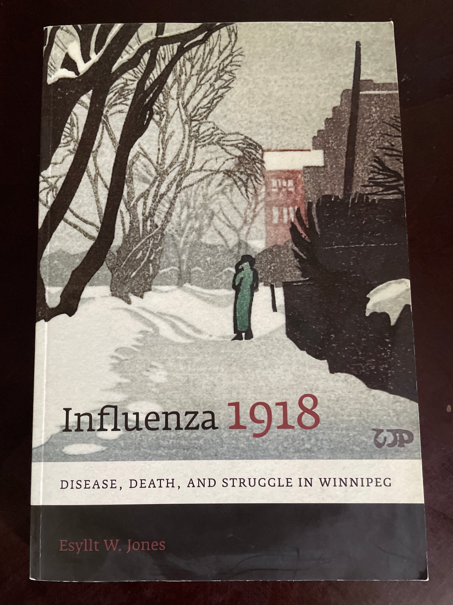 Influenza 1918: Disease, Death, and Struggle in Winnipeg - Jones, Esyllt W.