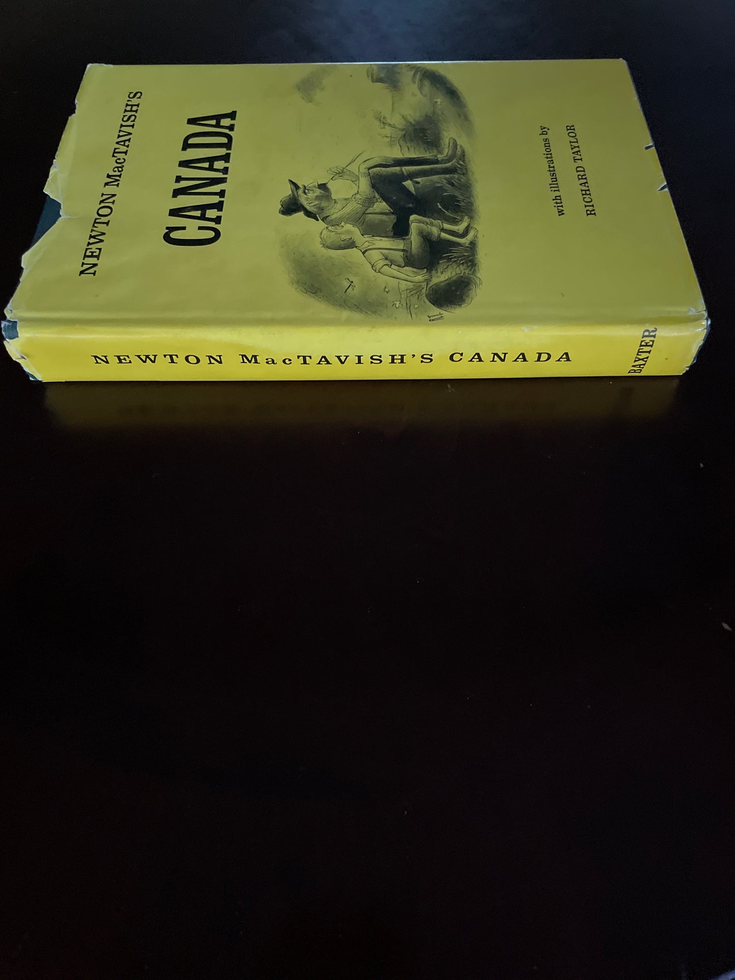 Newton MacTavish's Canada: Selected Essays of Newton Mactavish - MacTavish, Newton; Stafford, Ellen
