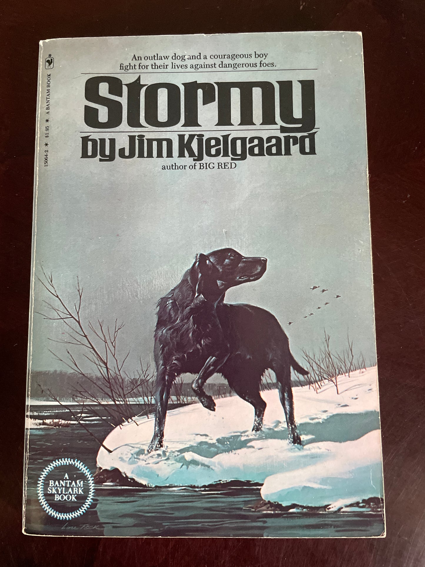 Stormy - Kjelgaard, Jim