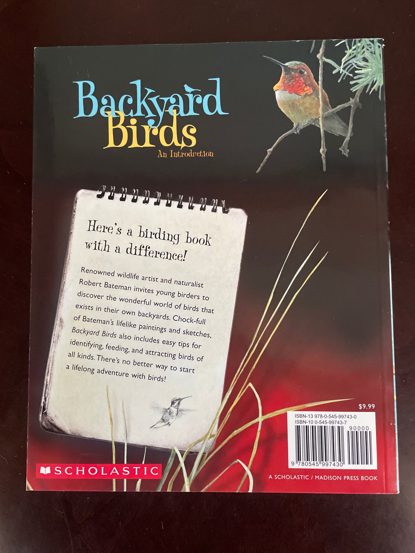 Backyard Birds: An Introduction - Bateman, Robert; Coutts, Ian