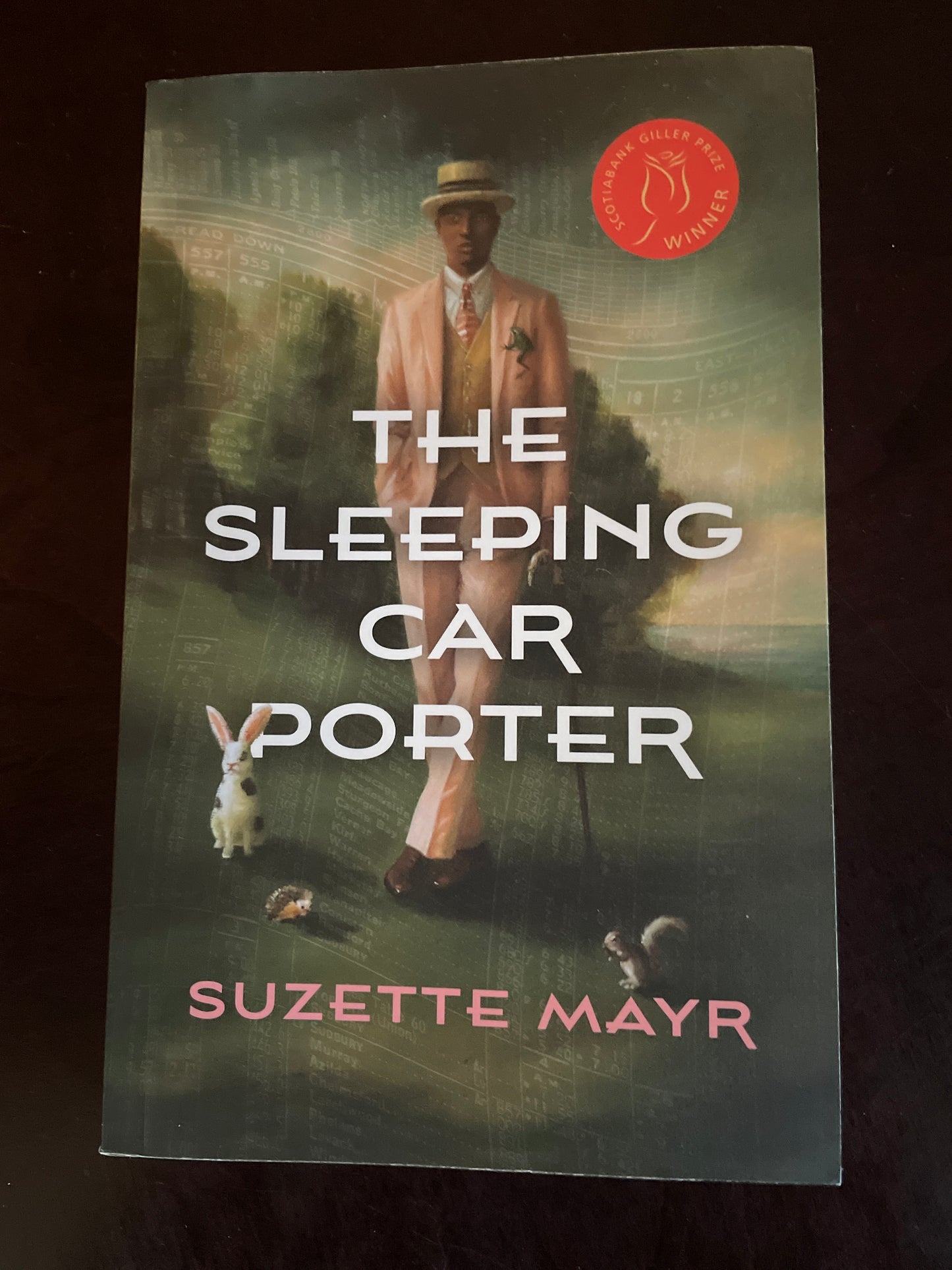 The Sleeping Car Porter - Mayr, Suzette