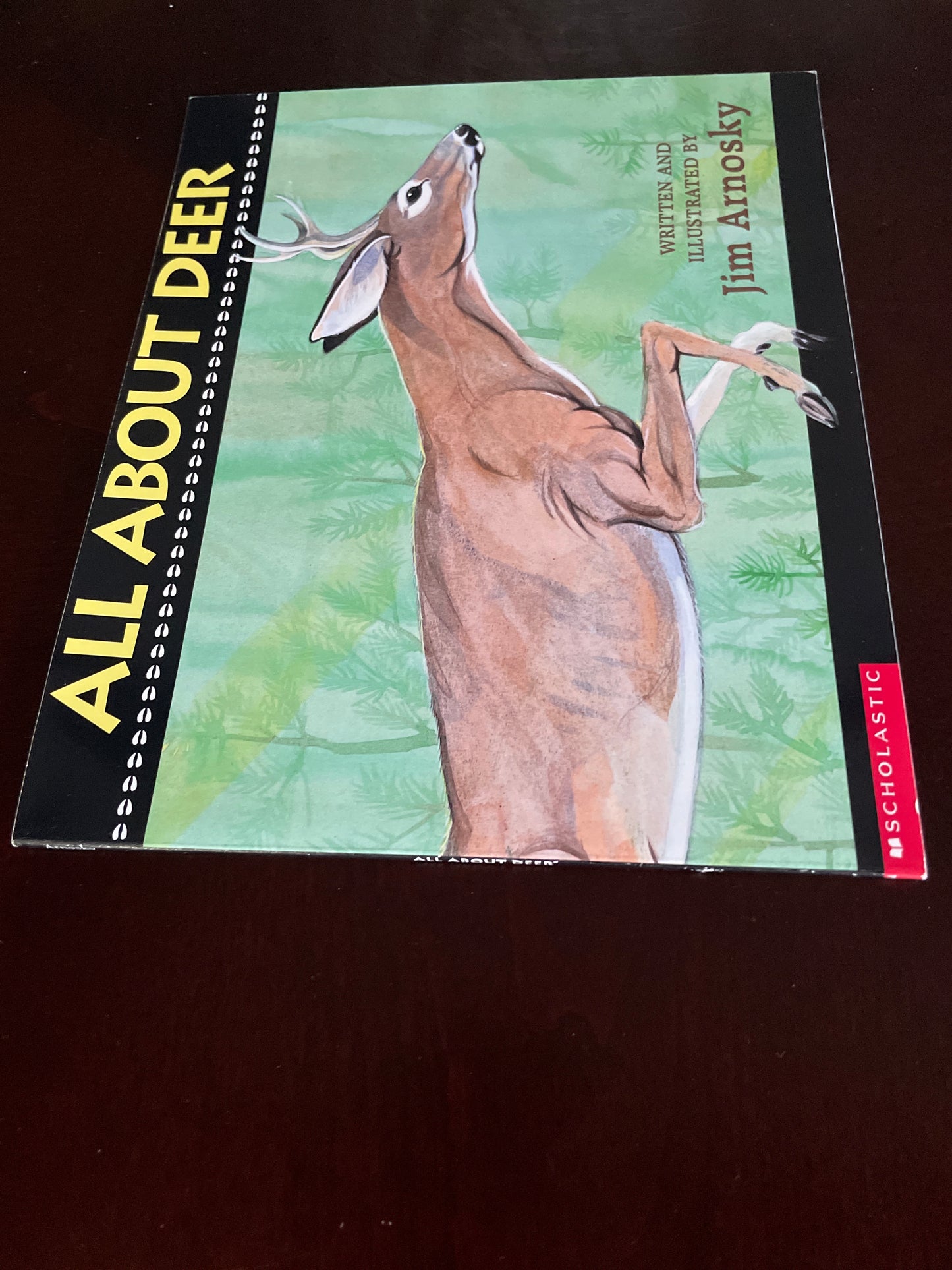 All About Deer - Arnosky, Jim