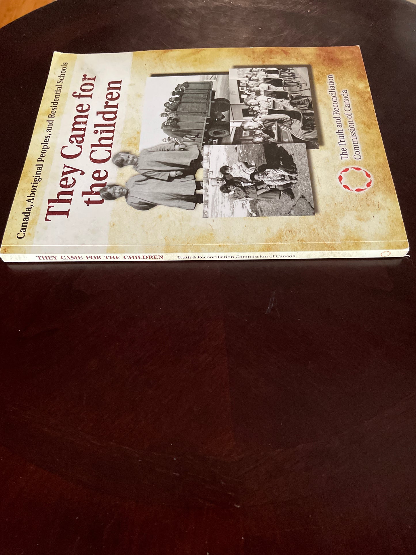 They Came for the Children: Canada, Aboriginal Peoples, and Residential Schools - Langevin, Hector