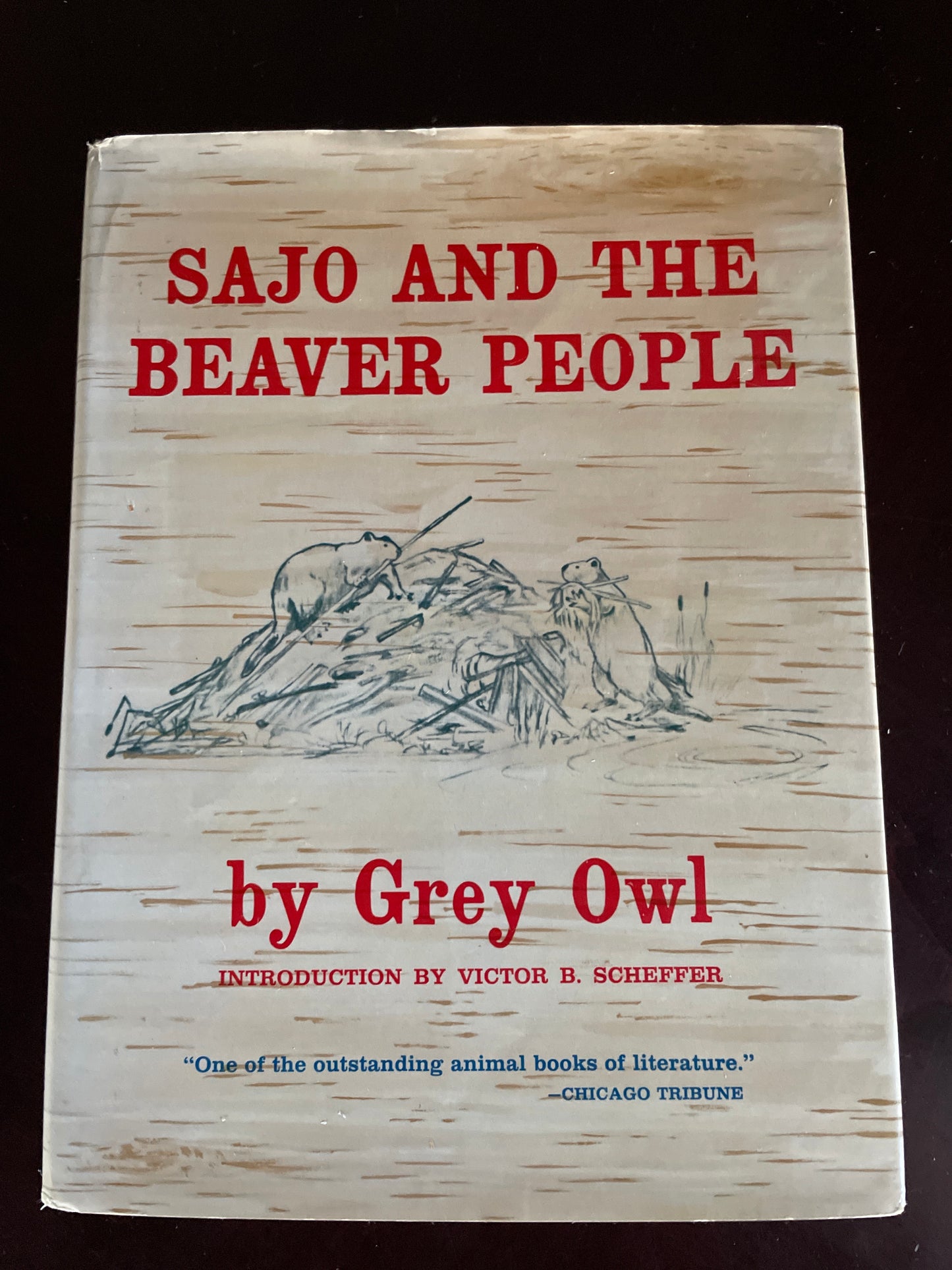 Sajo and the Beaver People - Owl, Grey