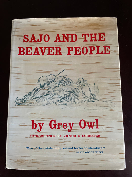 Sajo and the Beaver People - Owl, Grey