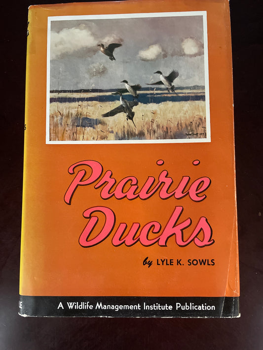 Prairie Ducks: A Study of Their Behavior, Ecology and Management - Sowls, Lyle K.