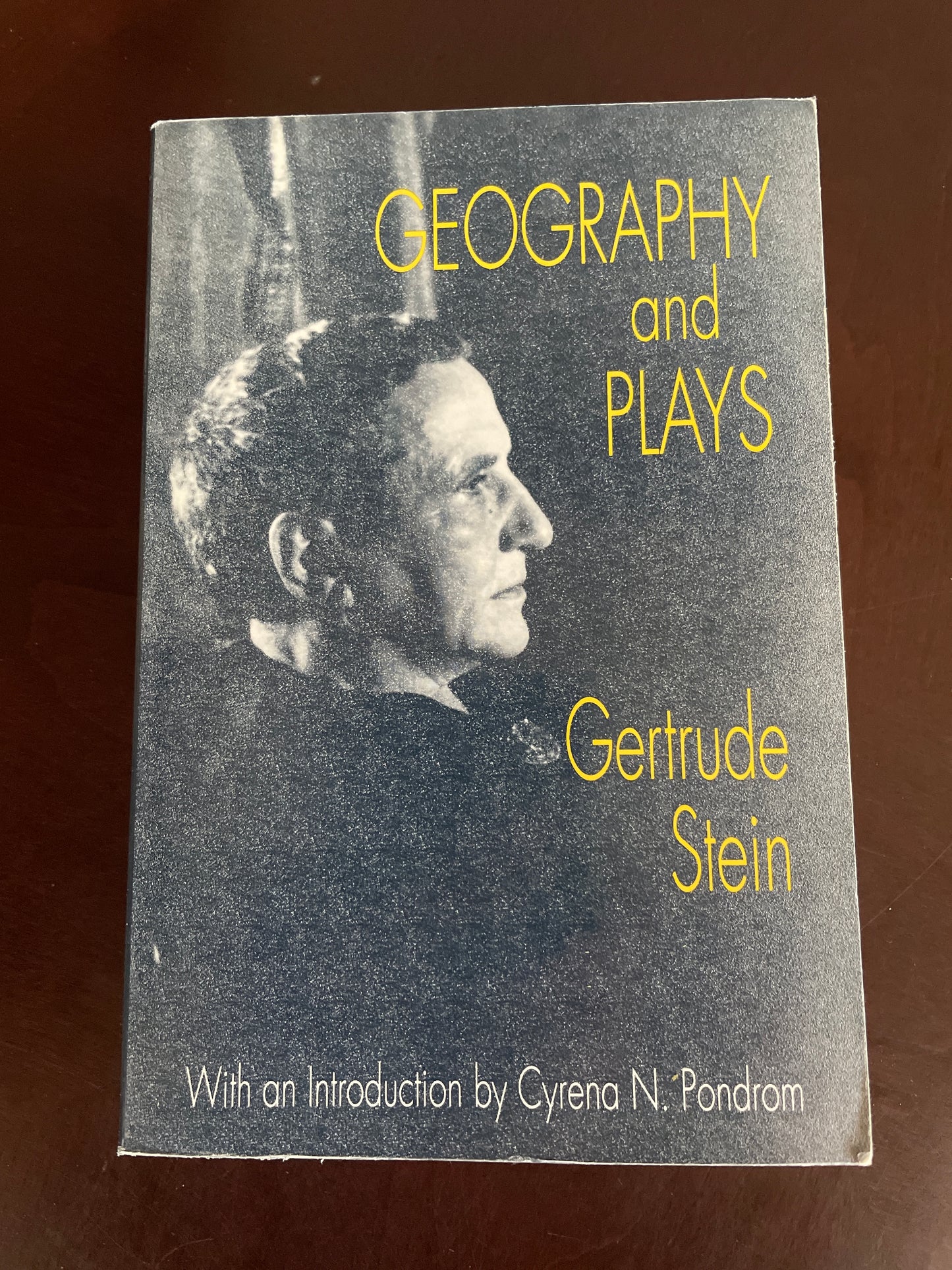 Geography and Plays - Stein, Gertrude