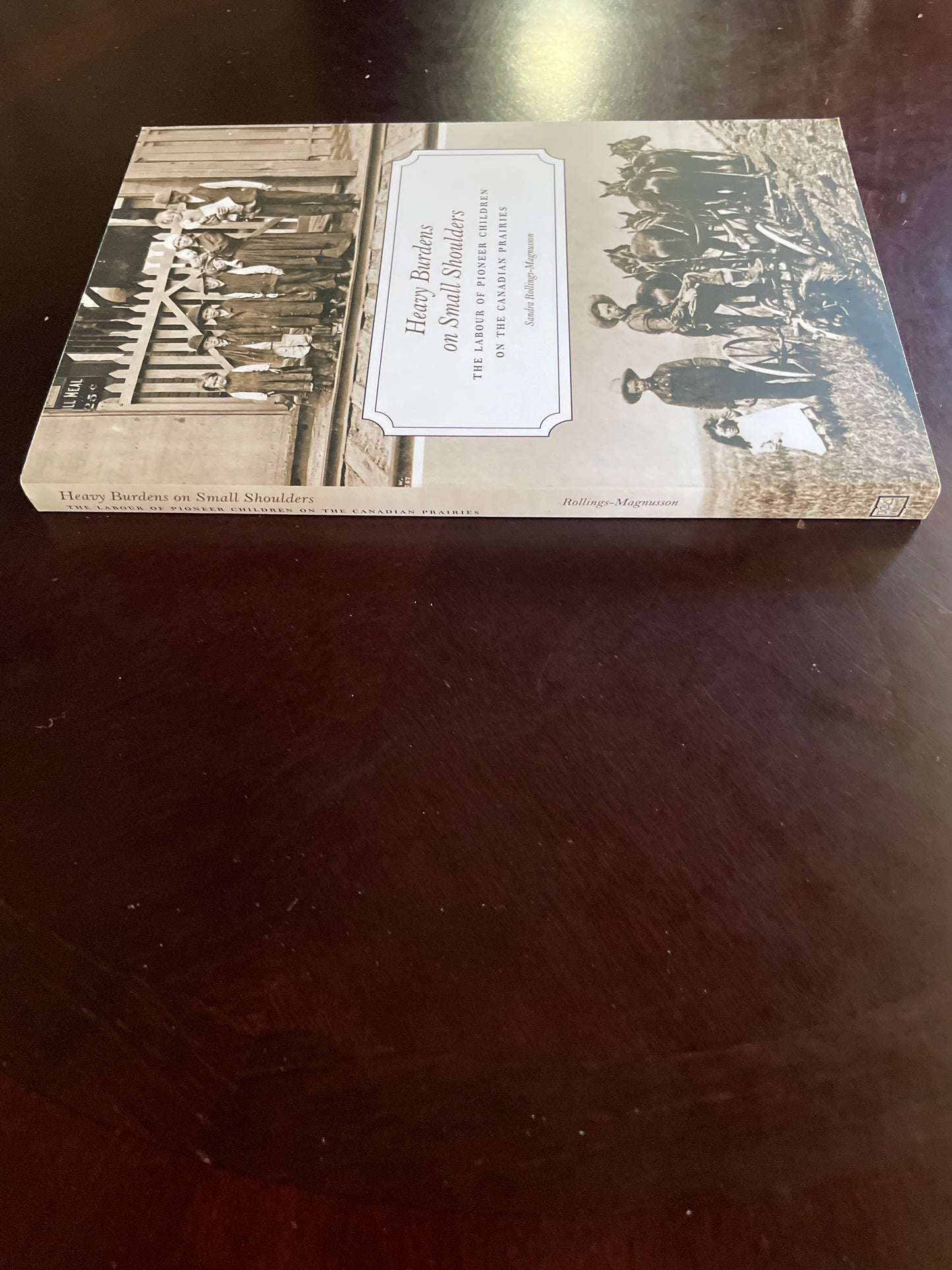 Heavy Burdens on Small Shoulders: The Labour of Pioneer Children on the Canadian Prairies - Rollings-Magnusson, Sandra