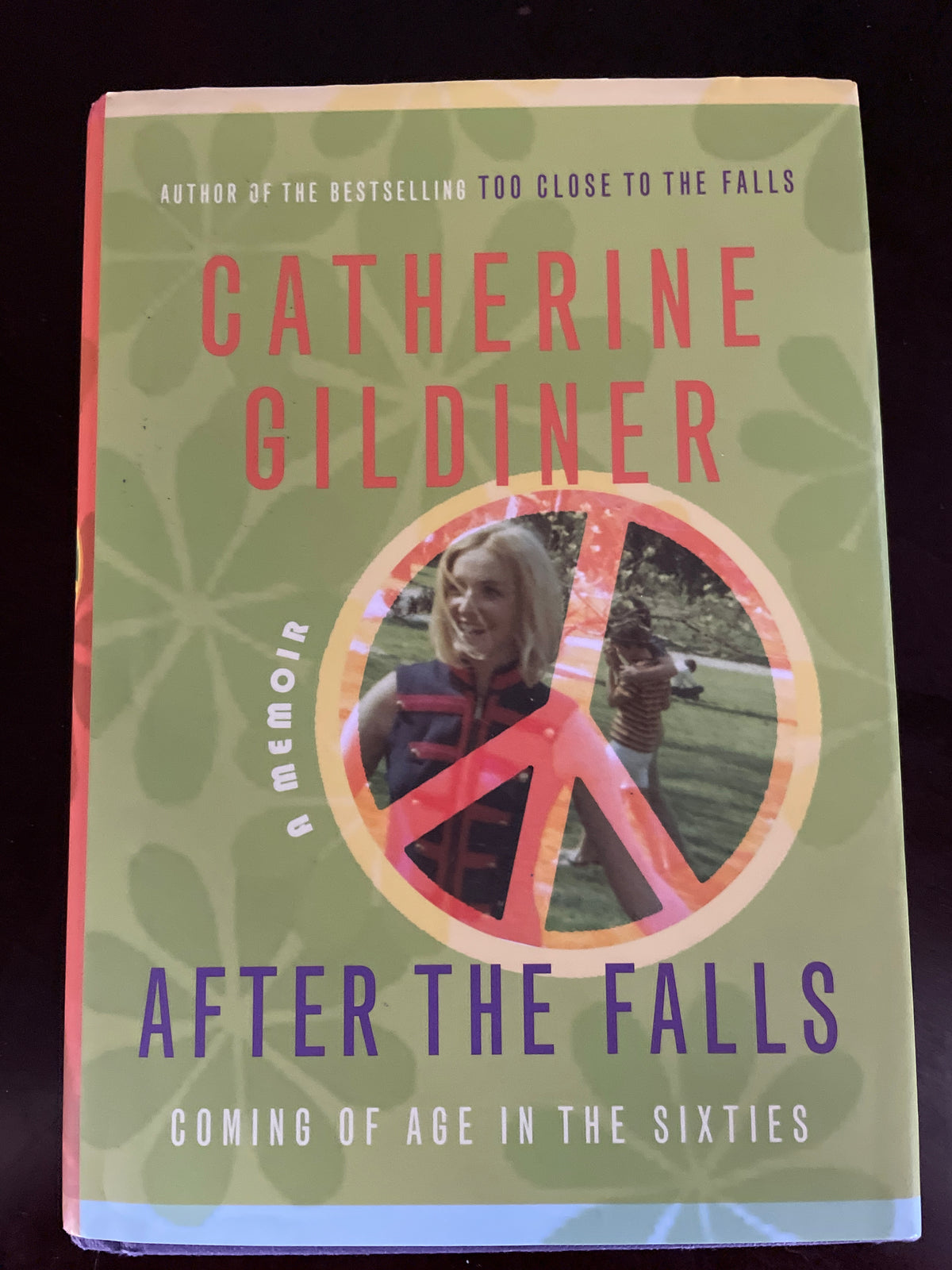 After the Falls (Signed) - Gildiner, Catherine