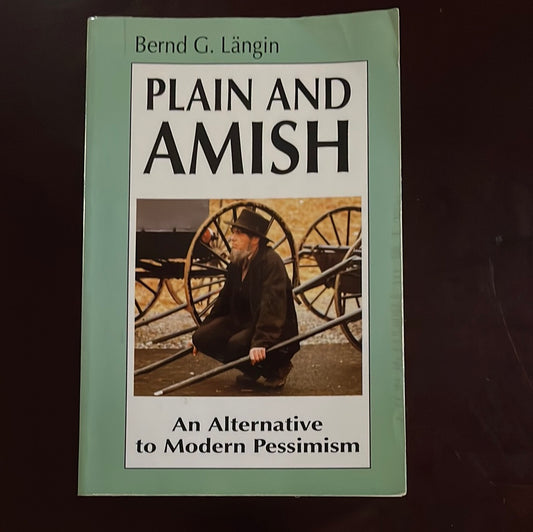 Plain and Amish: An Alternative to Modern Pessimism - Längin, Bernd G.