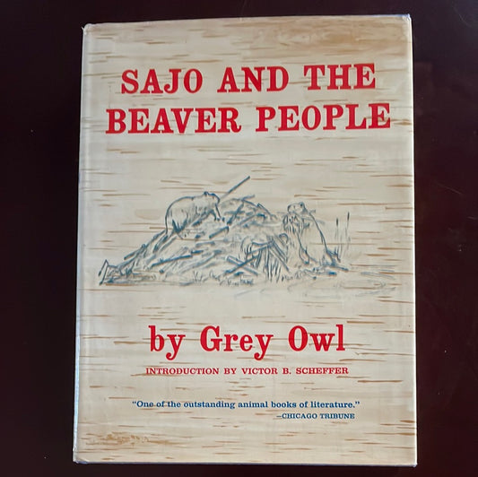 Sajo and the Beaver People - Owl, Grey