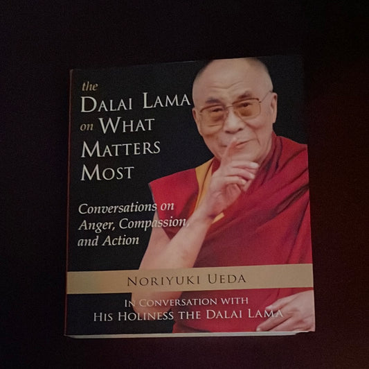 The Dalai Lama on What Matters Most: Conversations on Anger, Compassion, and Action - Ueda, Noriyuki