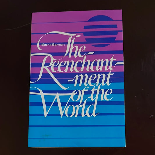 The Reenchantment of the World - Berman, Morris